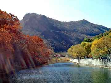 正版澳门天天开彩大全，沿河土家族自治黑帽seo